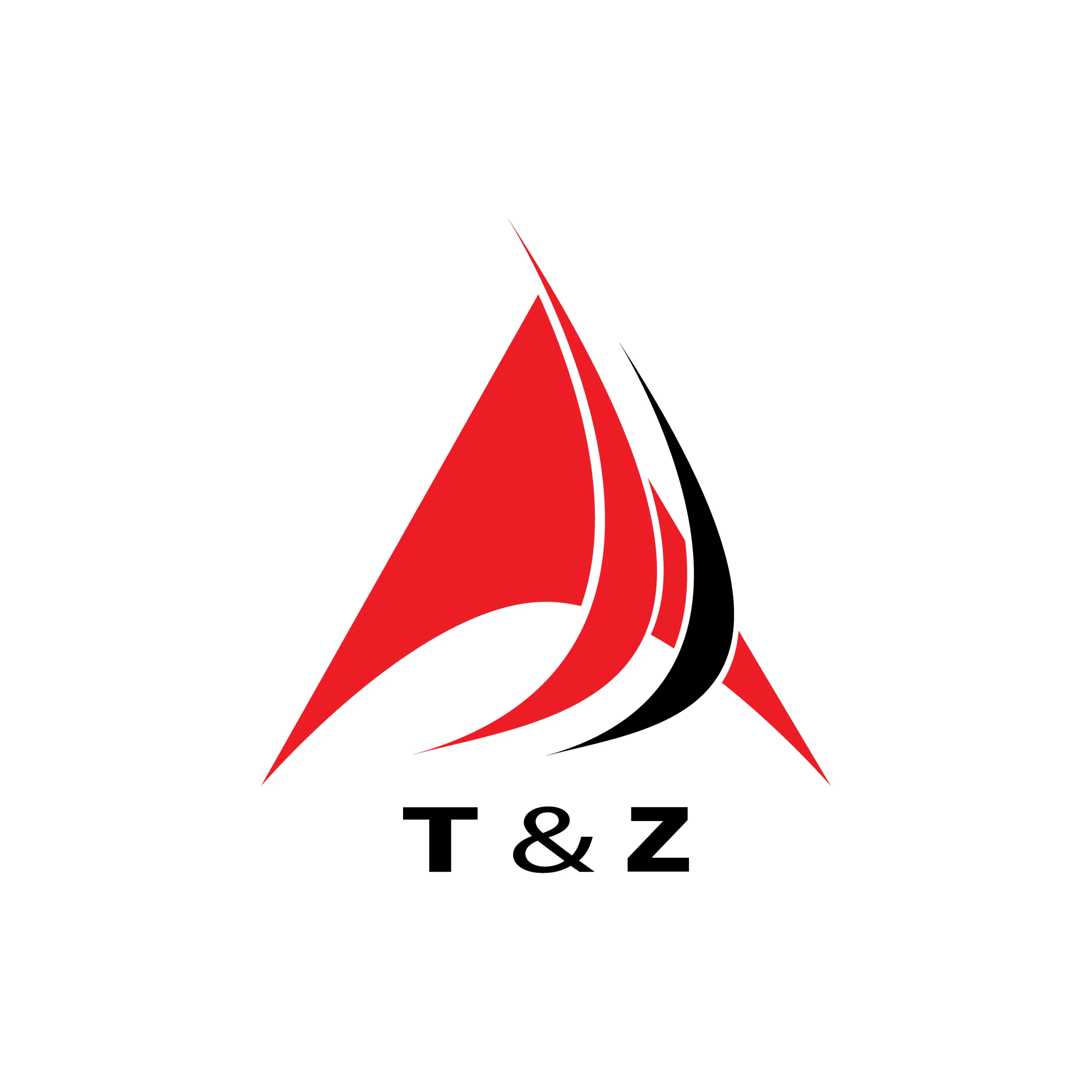 logo công ty tz